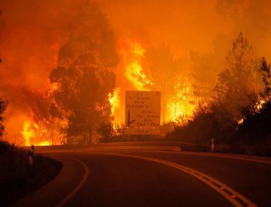 Φωτιά Πορτογαλίας: Φόβοι για περισσότερους από 100 νεκρούς - Ανάμεσα τους και παιδιά (φωτό, βίντεο)(upd)